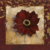 Anemone