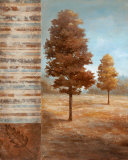 Autumn Aire I