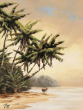 Tropic II