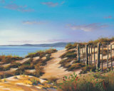 Beach Path