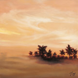 Tropic Mist I