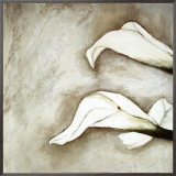 Brilliant Calla III