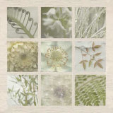 Fleur Carre
