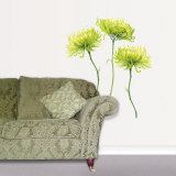 Chrysanthemums