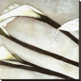 Brilliant Calla II