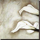 Brilliant Calla III