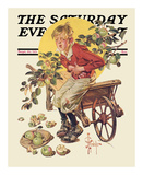 Too Many Green Apples  c1933