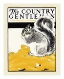 Squirrel with Corn  c1922