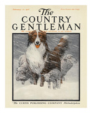 Herding Sheep  c1916