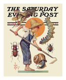 Garden Pests  c1932