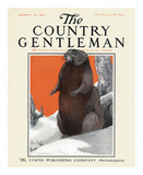 Beaver in Winter  c1916