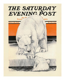 Polar Bears  c1919