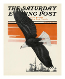 Soaring Eagle  c1924