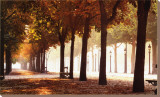 Champs-Elysees