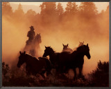 Horse Round-Up