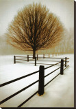 Solitude