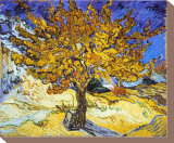 Mulberry Tree  c1889