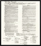 Constitution