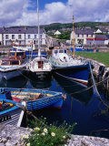 Fishing Boats Docked in Carnlough Harbour  Antrim  Northern Ireland