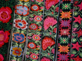 Detail of Handwoven Tapestry  Chiapas  Mexico
