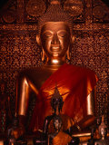 Small Buddha Statues in Wat Xieng Thong  Luang Prabang  Laos