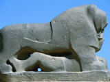 Lion of Babylon Statue  Babylon  Babil  Iraq