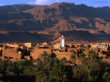Village of Tinerhir on Banks of River Todra  Todra Gorge  Morocco