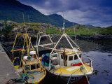 Trawlers at Rosroe in Killary Harbour  Connemara  Ireland