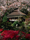 Japanese Tea Garden  San Francisco  California  USA