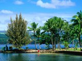 Coconut Island  a Small Island in Hilo Bay  Hawaii  USA