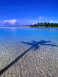 Shadow of Palm Tree on Lagoon  Cook Islands
