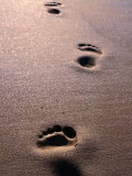 Footprints in the Sand of Eco Beach  South of Broome  Broome  Australia