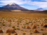 Altiplano Mountains and Scrub  Southwest  Bolivia