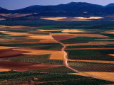 Plains of La Mancha  Spain