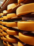 Cheese at Heidi Farm Tasmania  Australia