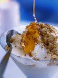 Honey and Yoghurt with Nuts  Greece