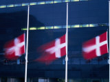 Danish Flags Flying Outside the Black Diamond Building  Copenhagen  Denmark