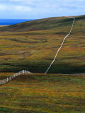 Hilly Country Fields at Caithness  Scotland
