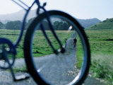 Cyclists Seen Through Bicycle  Hana  USA