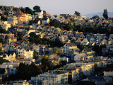 Houses Viewed from Mount Davidson  San Francisco  USA