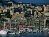 City Above Port and Marina  Genova  Liguria  Italy