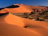 Namib Sand Dunes  Nambia Desert Park  Namib Desert Park  Erongo  Namibia