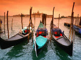 Gondolas on the Bacino Canal  Venice  Italy