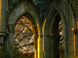 Arches of Glastonbury Abbey Ruins  Glastonbury  Somerset  England