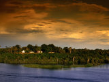 Forest at Sunset  Brazil