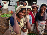 Tea Pickers Outside Factory  Uva  Sri Lanka