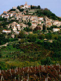 Medieval Hilltop Town Overlooking Vineyards  Motovun  Croatia