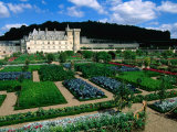 Gardens of Chateau Villandry  France