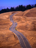 Winding Road at Mount Tamalpais  California  USA