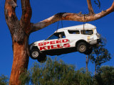 Car Hanging on Tree  Safety Message on Old Coast Road in South-West  Australia